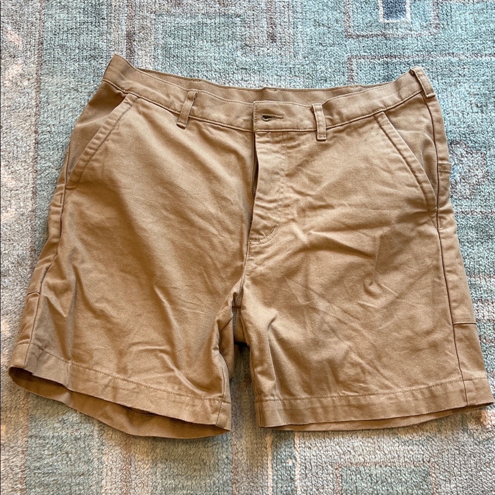 Men's Patagonia Tan Shorts